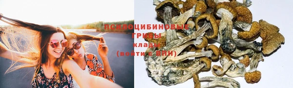 а пвп мука Бугульма
