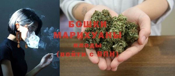 молекула духа Верхний Тагил