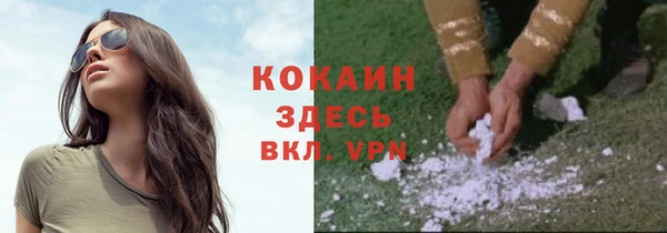 сатива Приозерск