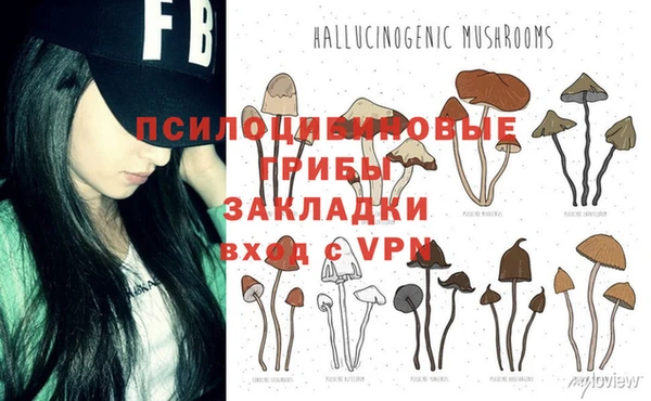 apvp Бронницы