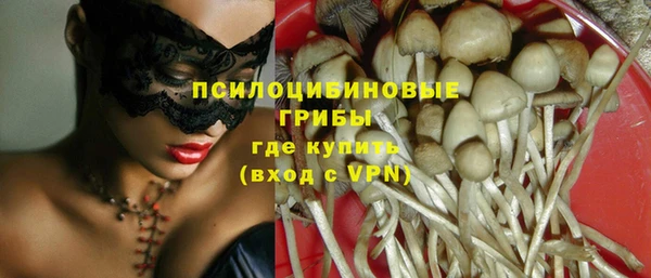 не бодяженный Бородино