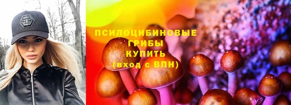 не бодяженный Бородино