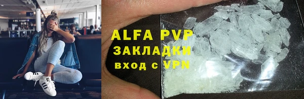 не бодяженный Бородино