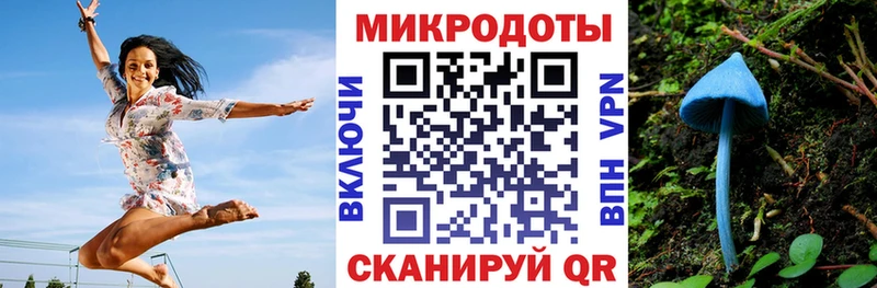 Псилоцибиновые грибы Psilocybe  darknet состав  Миллерово 